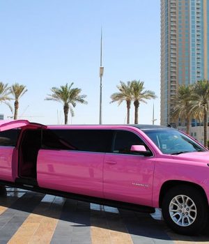 LIMO-RIDE-PINK-PANTHER-GMC-LIMO26-PAX